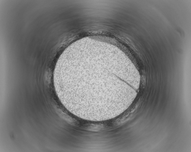 X0000110870458200907301417