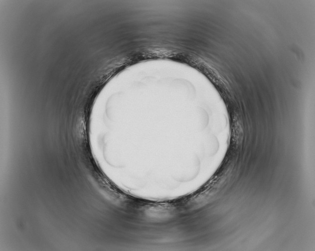 X0000110870459200907301417