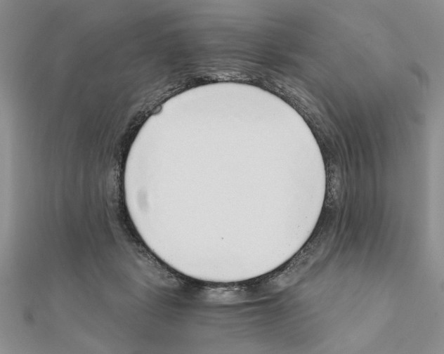 X0000110870461200907301417