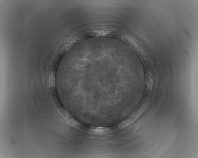 X0000110870467200907301417