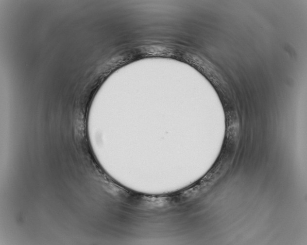 X0000110870469200907301417