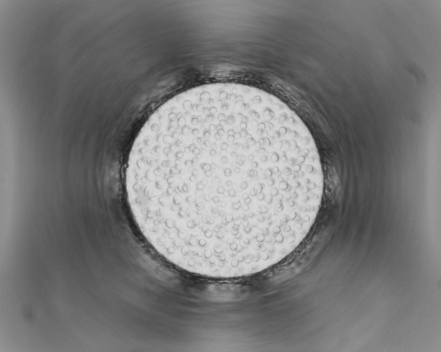 X0000110870470200907301417