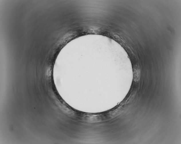 X0000110870472200907301417