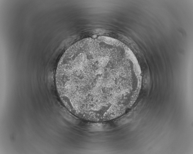 X0000110870473200907301417