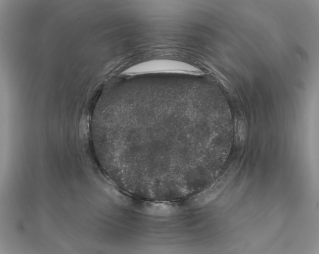 X0000110870475200907301417