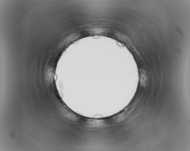 X0000110870476200907301417