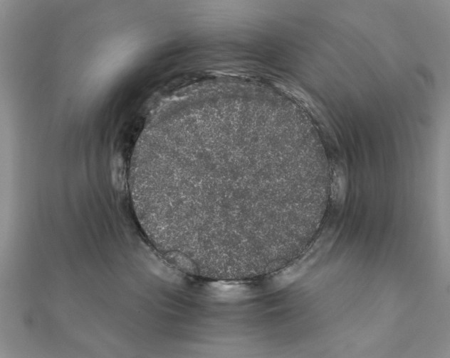 X0000110870477200907301417