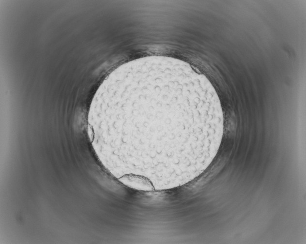 X0000110870478200907301417