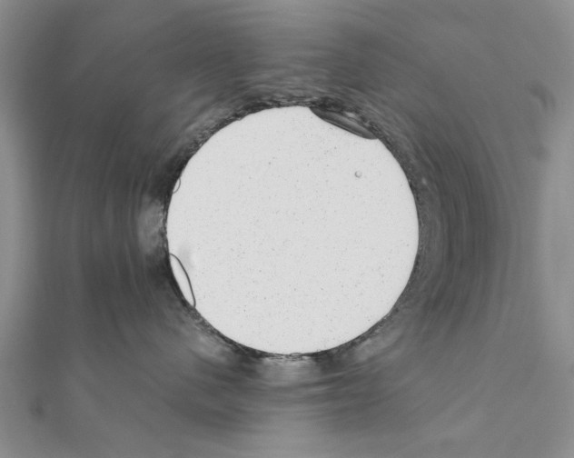 X0000110870480200907301417