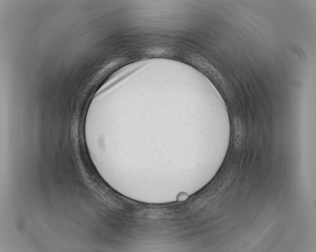 X0000110870482200907301416