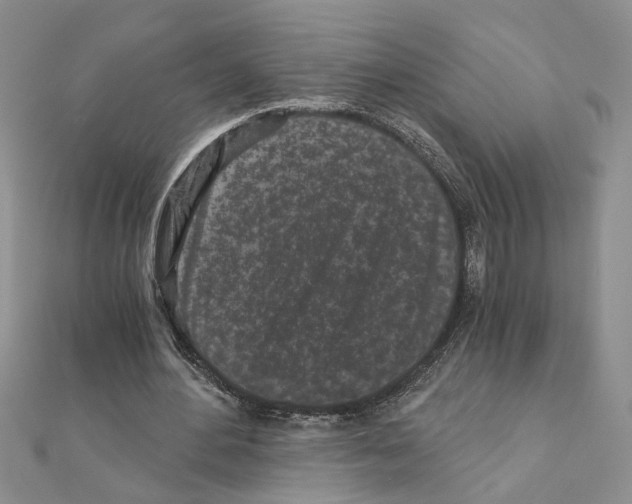 X0000110870484200907301416