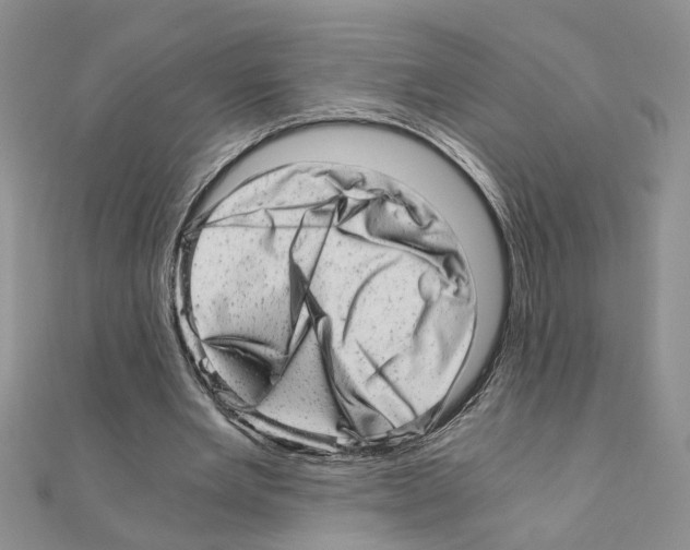 X0000110870485200907301416