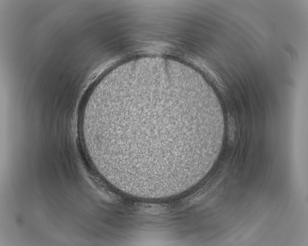 X0000110870486200907301416