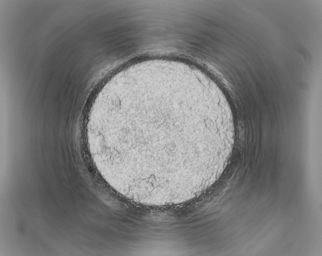 X0000110870487200907301416