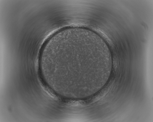 X0000110870488200907301416