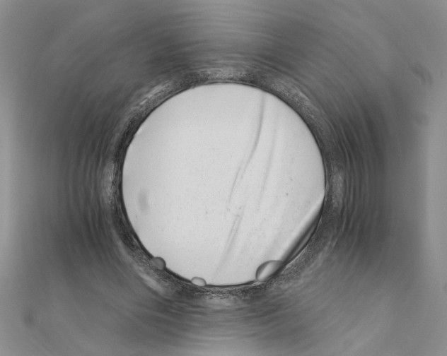 X0000110870490200907301416