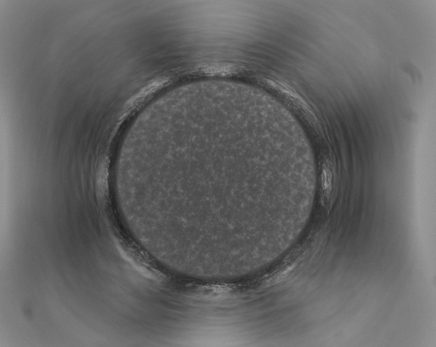 X0000110870492200907301416