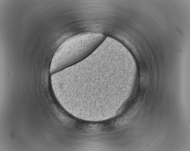 X0000110870493200907301416