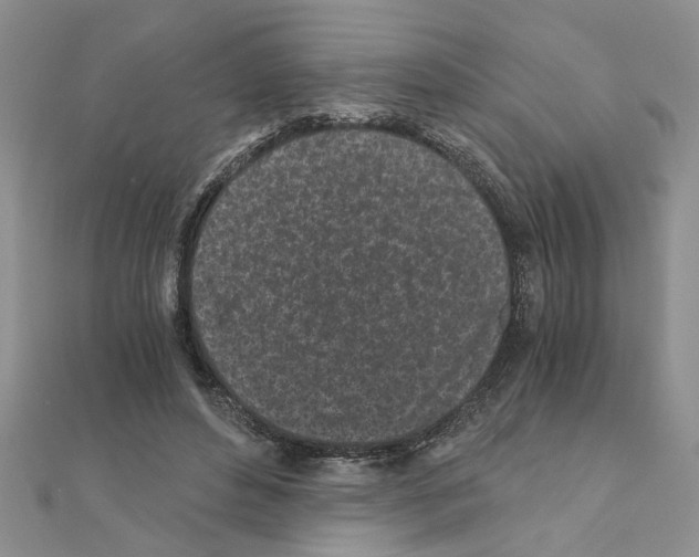 X0000110870496200907301416