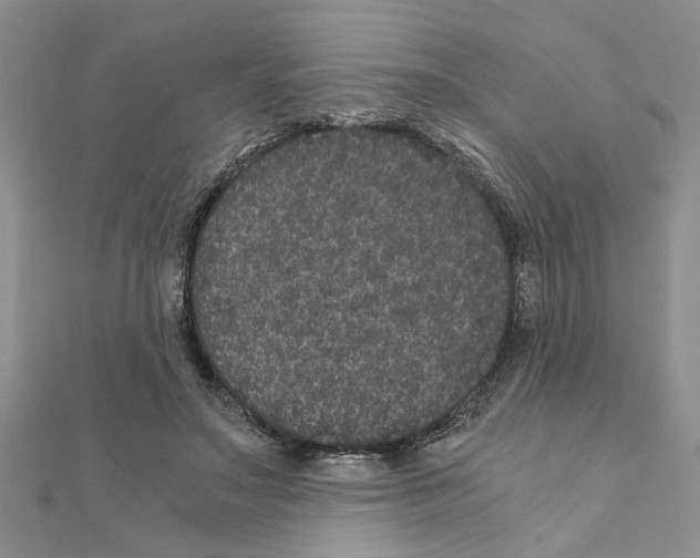 X0000110870499200907301416