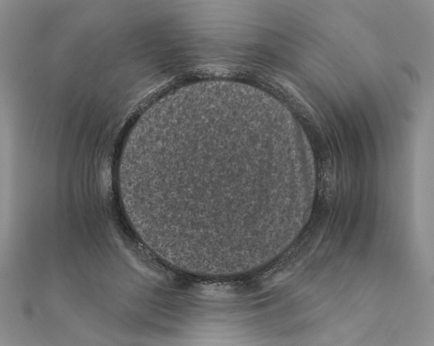 X0000110870500200907301416