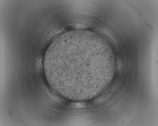 X0000110870506200907301416