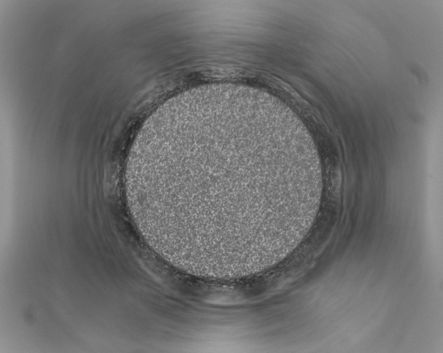 X0000110870507200907301416