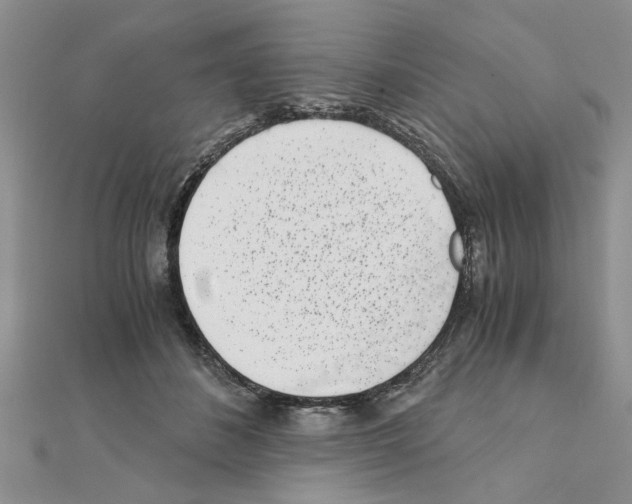 X0000110870508200907301416