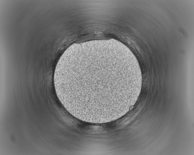 X0000110870509200907301416