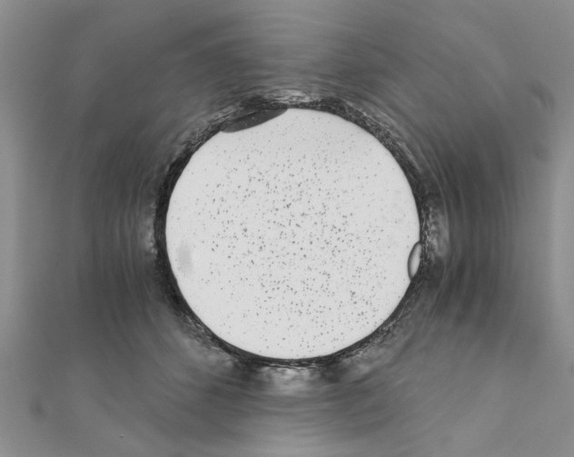 X0000110870512200907301416