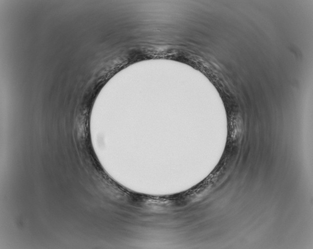 X0000110870515200907301416