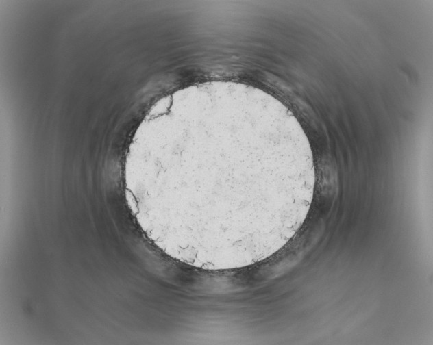 X0000110870523200907301416