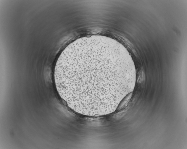 X0000110870524200907301416