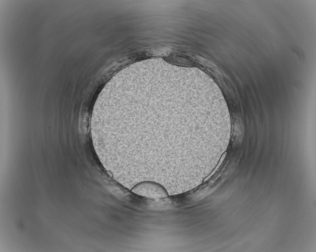 X0000110870525200907301416