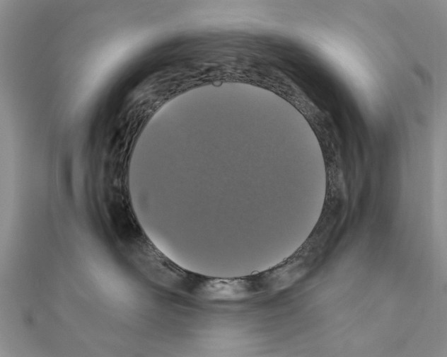 X0000110870526200907301416