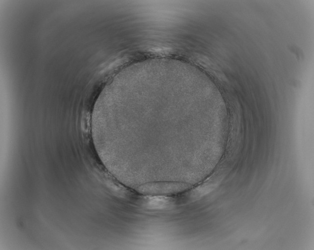 X0000110870528200907301416