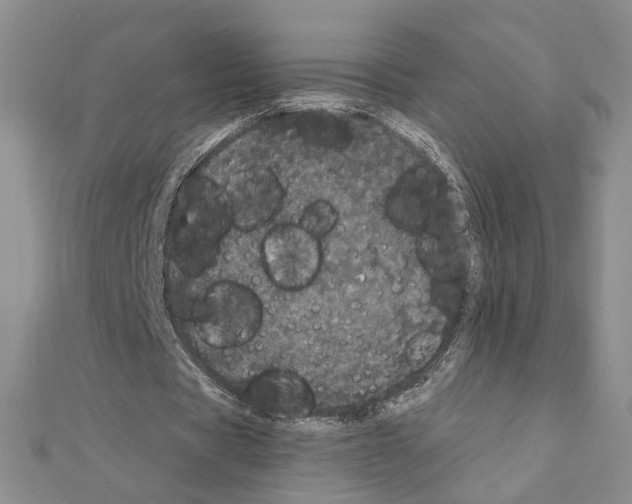 X0000110870529200907301415