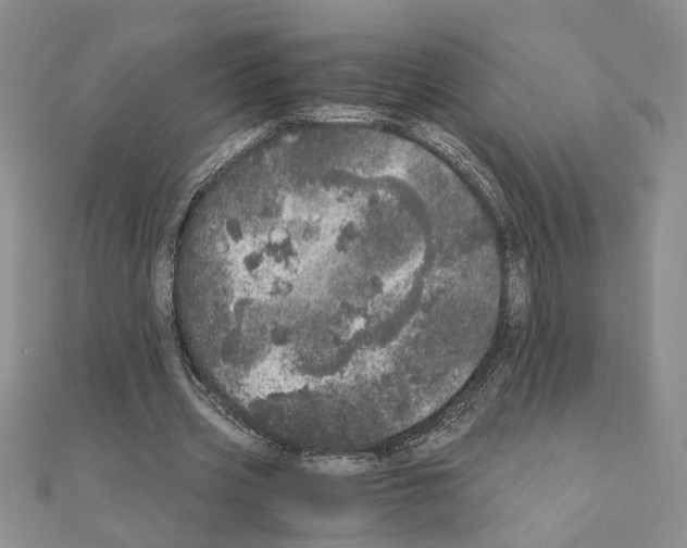 X0000110870533200907301415