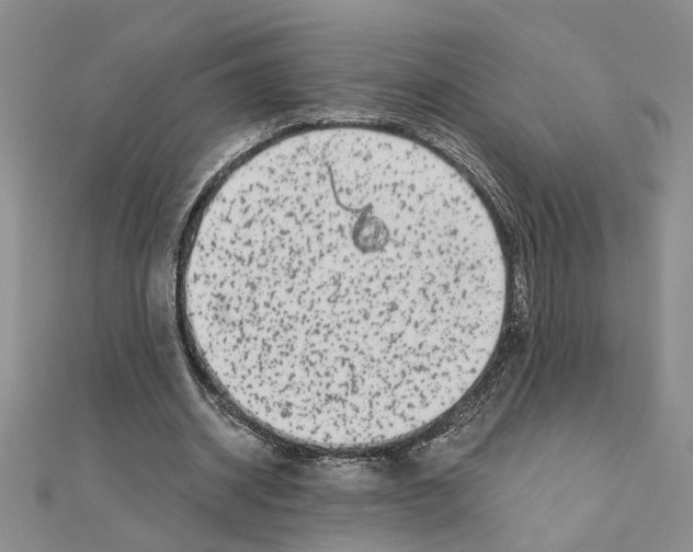 X0000110870534200907301415