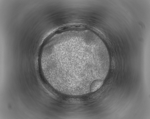 X0000110870535200907301415