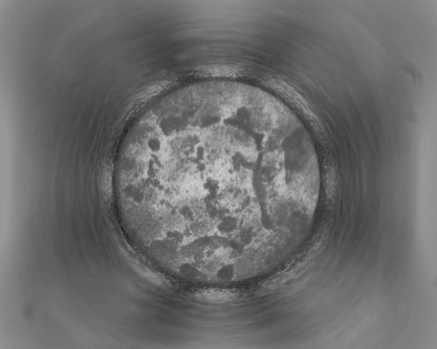 X0000110870537200907301415