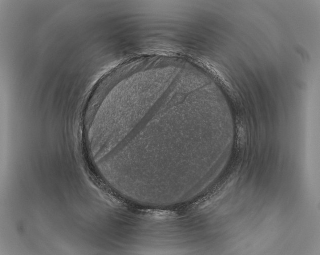 X0000110870539200907301415