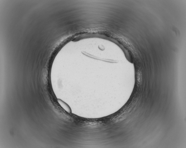 X0000110870540200907301415