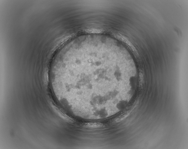 X0000110870541200907301415