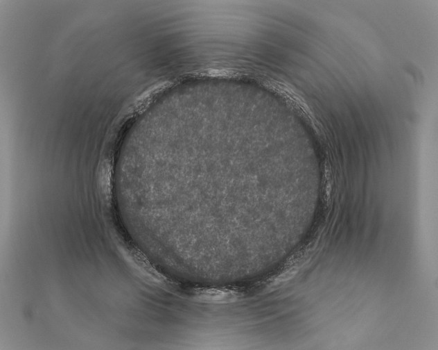 X0000110870542200907301415