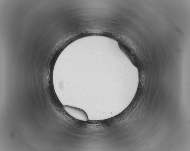 X0000110870544200907301415