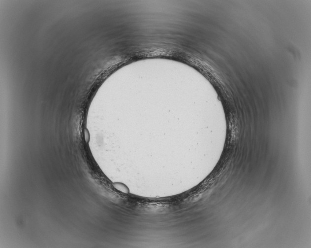 X0000110870546200907301415