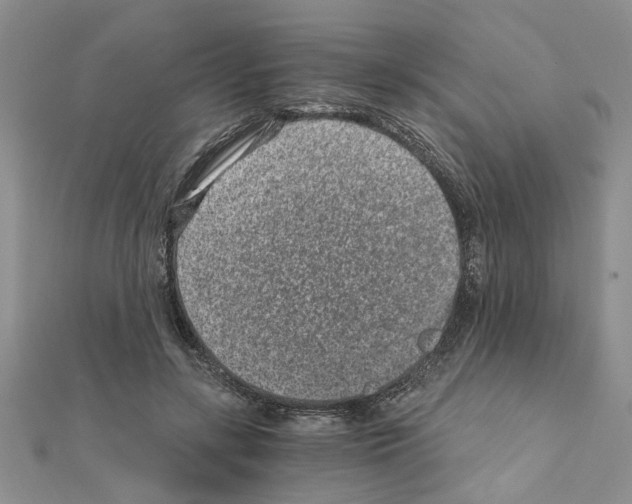 X0000110870547200907301415