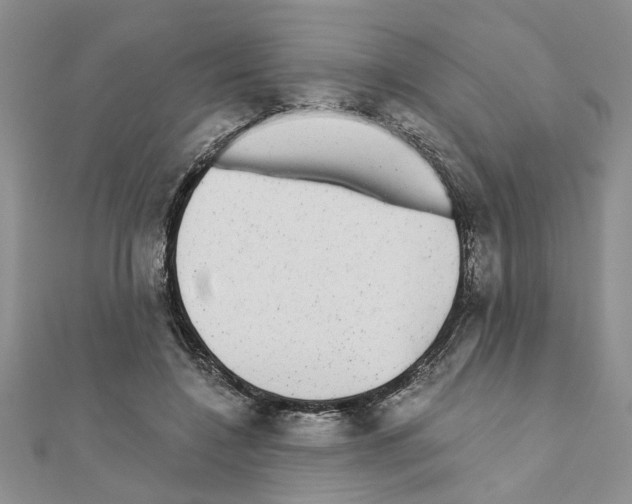 X0000110870548200907301415