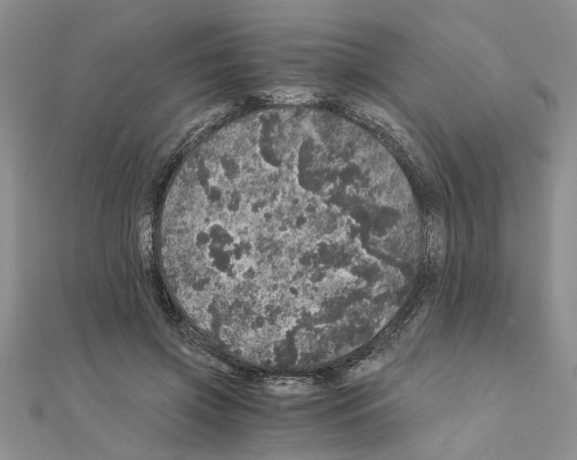 X0000110870549200907301415